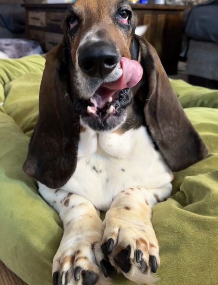 Entry image for Walter. Clicking this image will show a larger photo