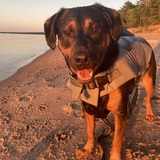 Entry image for Sully