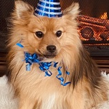 Entry image for Koebe Jack