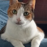 Entry image for Libby 
