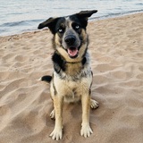 Entry image for Lucy