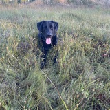 Entry image for Chase