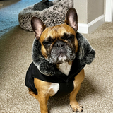 Entry image for Rosie