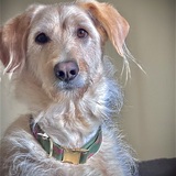 Entry image for Luna Bostick