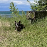 Entry image for Loki