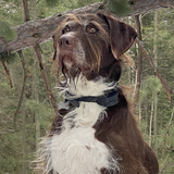 Entry image for Choco