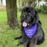Entry image for Monty