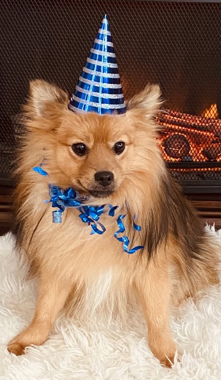Entry image for Koebe Jack. Clicking this image will show a larger photo