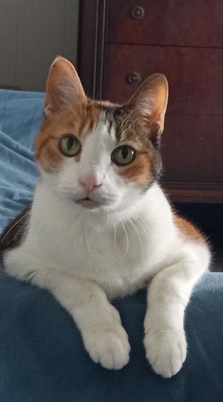 Entry image for Libby . Clicking this image will show a larger photo