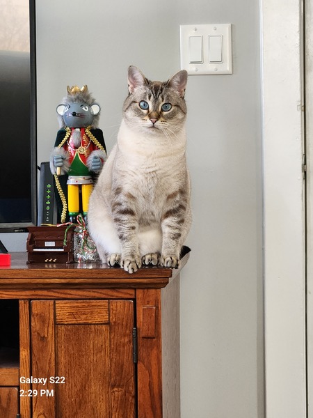 Entry image for Miina. Clicking this image will show a larger photo