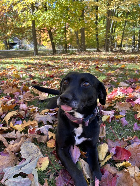 Entry image for Elsa Tina. Clicking this image will show a larger photo
