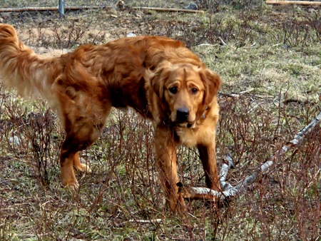 Entry image for Remi Quinn . Clicking this image will show a larger photo