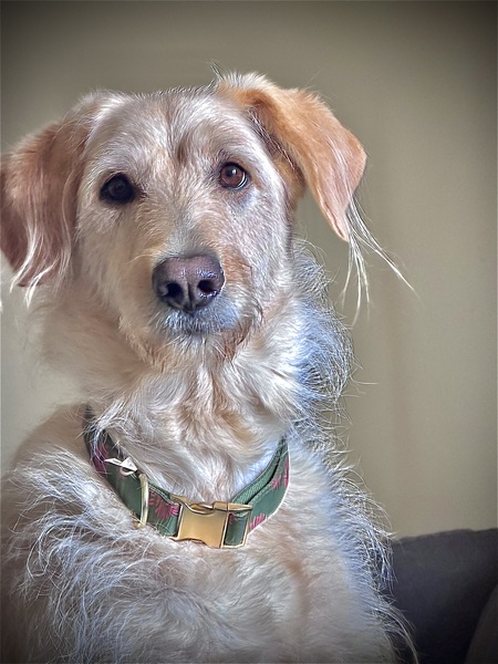 Entry image for Luna Bostick. Clicking this image will show a larger photo