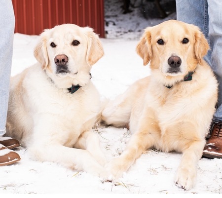 Entry image for Mac & Hank. Clicking this image will show a larger photo
