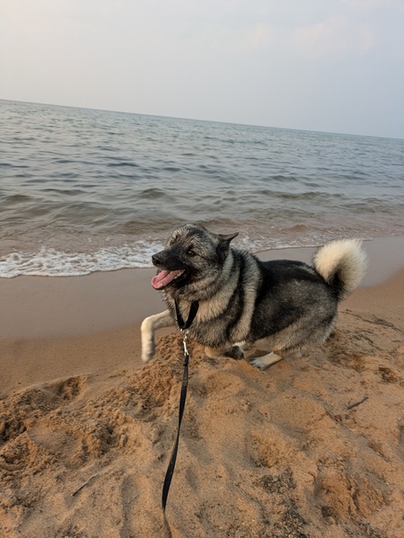 Entry image for Mikko. Clicking this image will show a larger photo