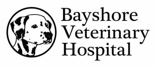 Bayshore Veterinary Hospital