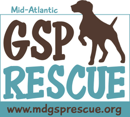 Logo for 2027 GSP Rescue Calendar Contest