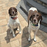 Entry image for Piper and Wynn