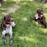 Entry image for Emma and Maeve