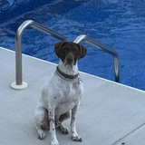Entry image for Ruger