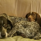 Entry image for Remi and Ginger