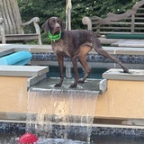 Entry image for Maggie