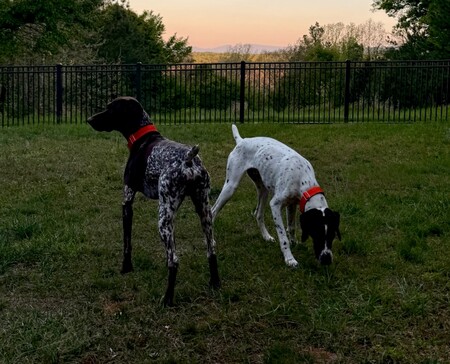 Entry image for Saint & Boudreaux. Clicking this image will show a larger photo