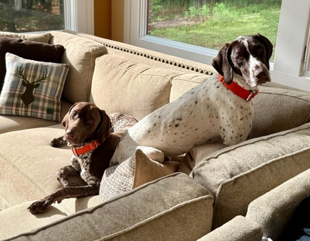 Entry image for Saint & Boudreaux. Clicking this image will show a larger photo