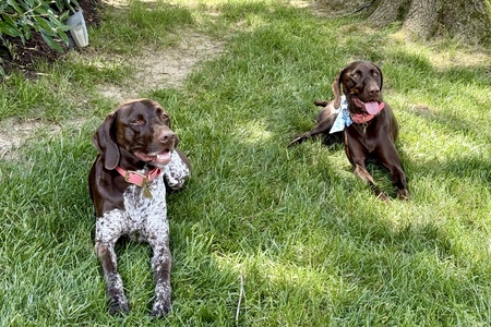 Entry image for Emma and Maeve. Clicking this image will show a larger photo