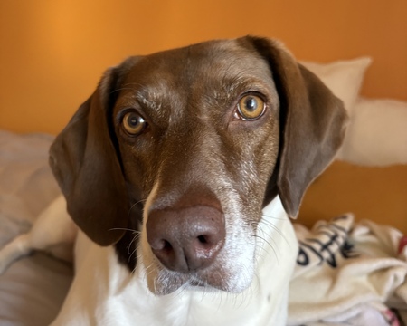 Entry image for Oakley. Clicking this image will show a larger photo