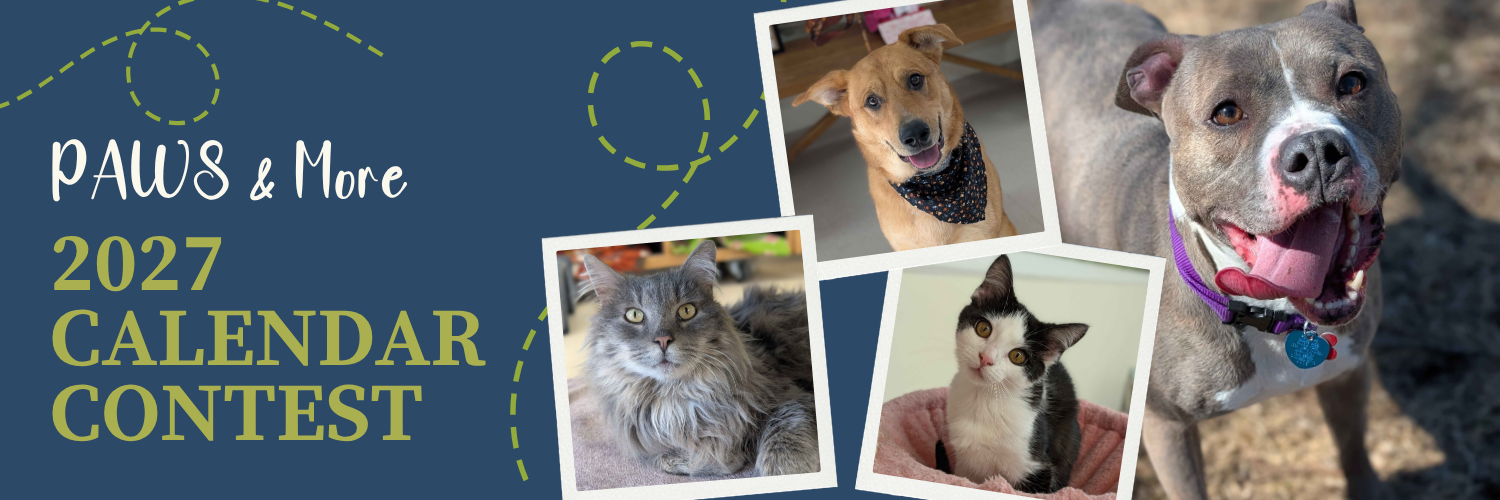 Banner for 2027 PAWSitively Perfect