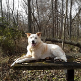 Entry image for Marley 