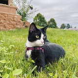 Entry image for Betty Lu