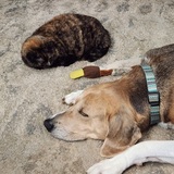 Entry image for Mama and Leroy