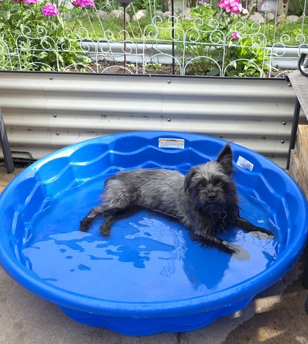 Entry image for Addie. Clicking this image will show a larger photo