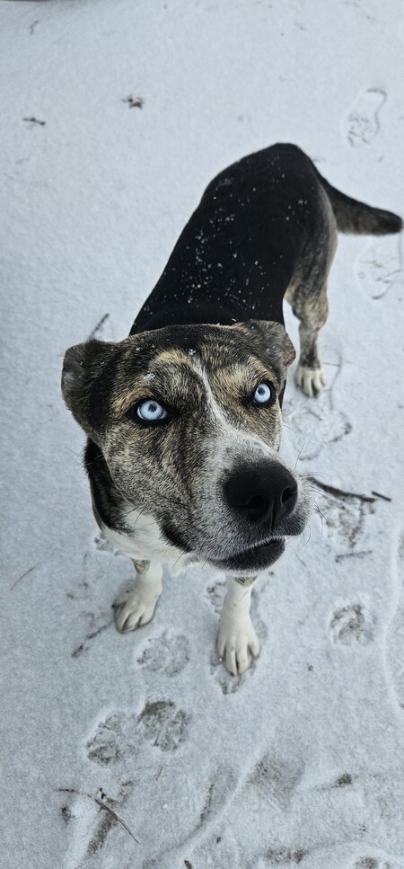 Entry image for Luca. Clicking this image will show a larger photo
