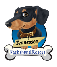 Logo for Tennessee Dachshund Rescue 2027 Calendar Photo Contest