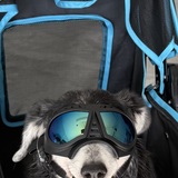 Entry image for Winnifred aka Winnie