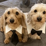 Entry image for Alfie and Winnie 