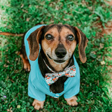 Entry image for Spanky 