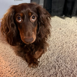 Entry image for Ruby