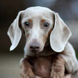 Entry image for Heidi Grace