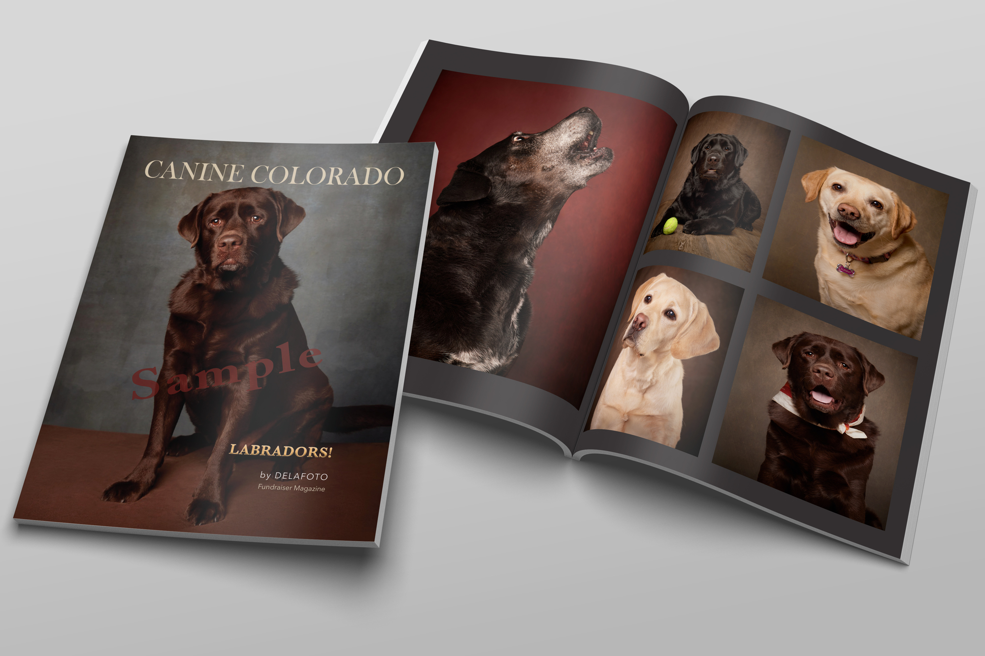 Banner for Canine Colorado Cover Contest 2026