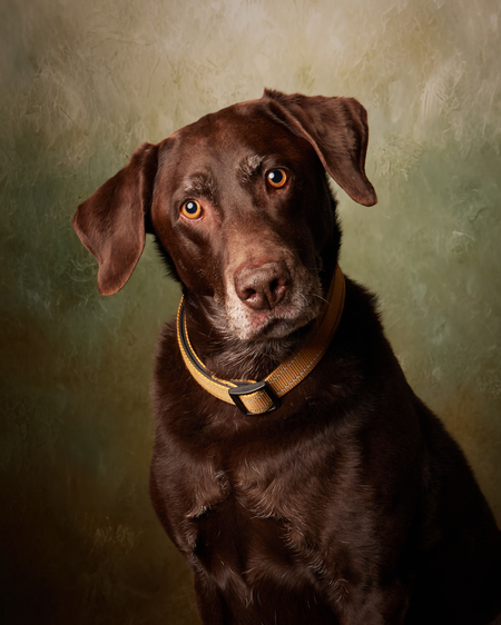 Entry image for Mattis. Clicking this image will show a larger photo