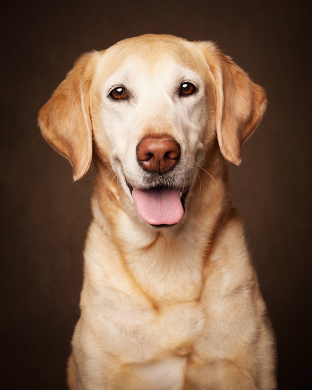 Entry image for Zoey. Clicking this image will show a larger photo