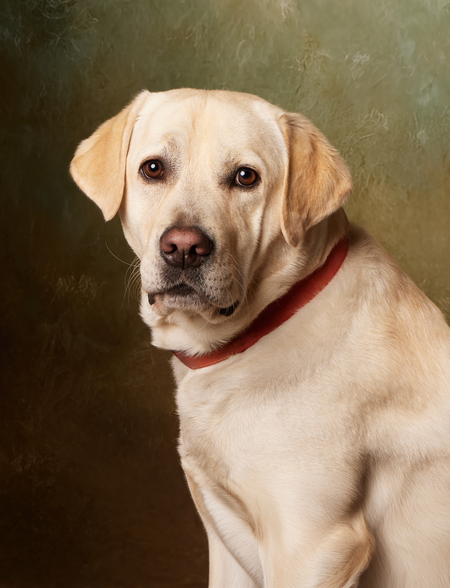 Entry image for Loukie. Clicking this image will show a larger photo