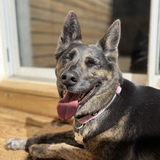 Entry image for Greta