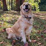 Entry image for Tater