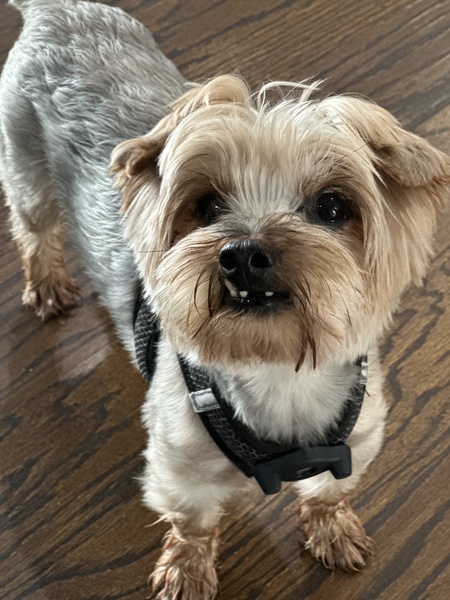 Entry image for Dekker. Clicking this image will show a larger photo