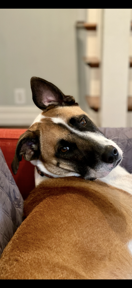 Entry image for Lovey Rey. Clicking this image will show a larger photo